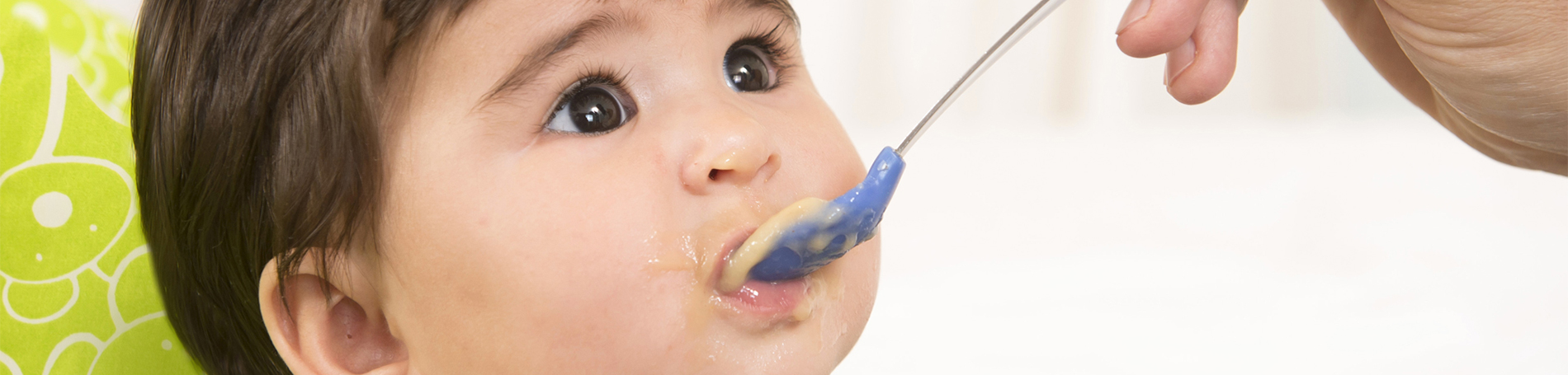 Indian baby being spoon fed a fruit puree